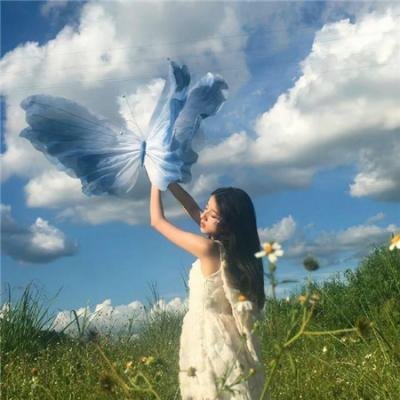慈膳救援